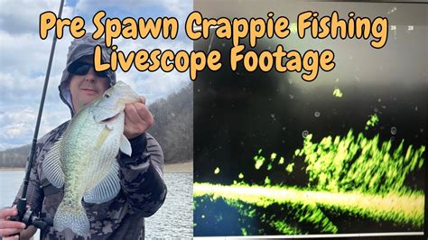 pre spawn crappie fishing.